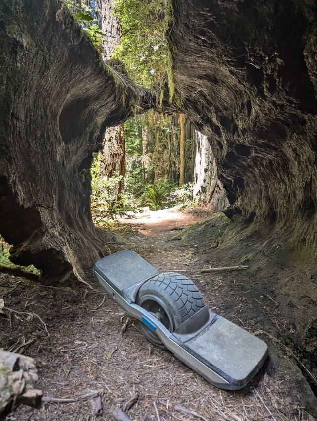 Riding inside trees :)