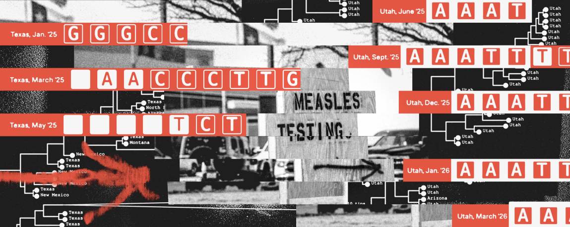 A collage overlays a black-and-white photo of a wooden sign reading “Measles testing” in a scene with a Texas flag in the background. Illustrations of genetic sequences and branching diagrams surround the sign, with red banners highlighting various DNA configurations that are labeled with locations and dates from Texas and Utah.