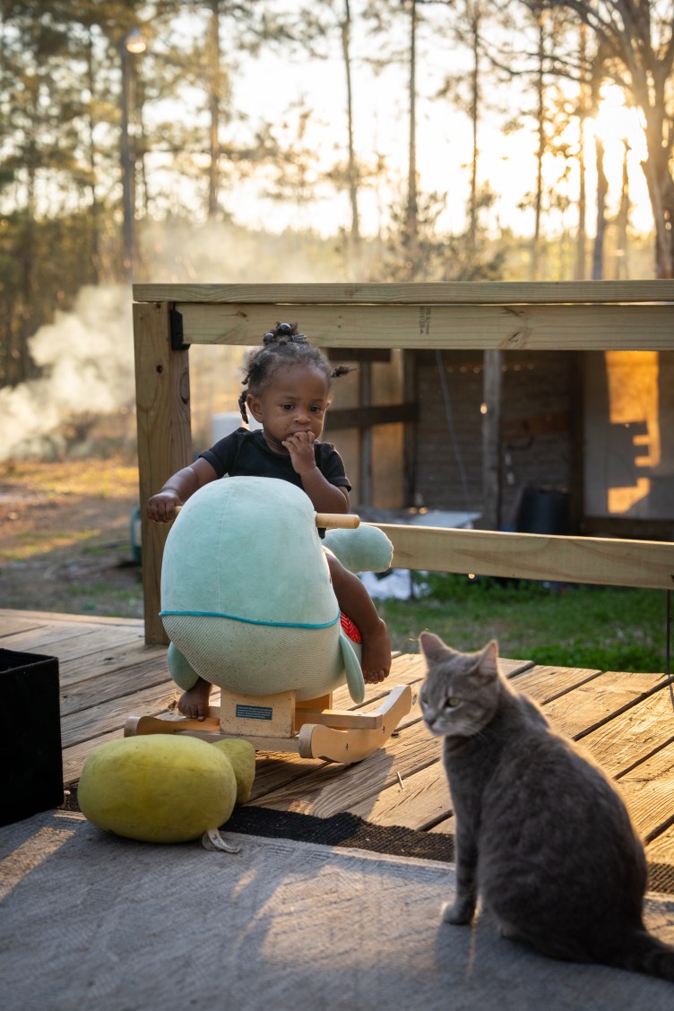 Outside on a wooden porch in the sunset, a baby sits on a rocking horse and looks at a cat sitting nearby.