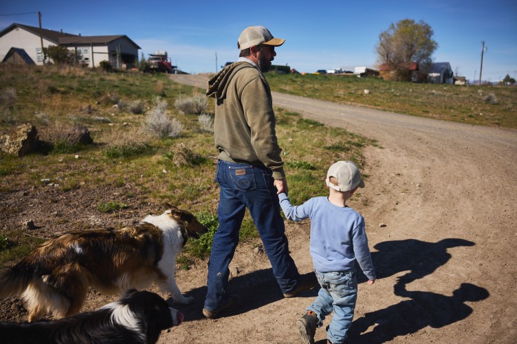 A man holds the hand of a boy as the two walk down a dirt driveway toward a house in the distance. Two dogs follow behind them.