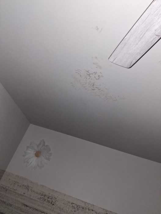 Smudges and dirt marks appear on a white ceiling next to a fan blade, above a wall featuring a painted daisy decoration.