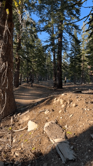 What's a Shredfest without some Tahoe shenanigans afterwards? 🤪