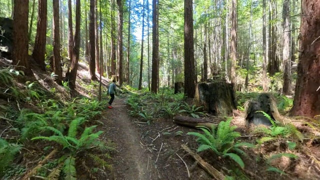 Camp Shredwood 2026 mission statement