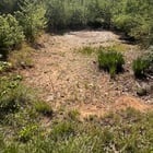 I really wanna turn this into a track…what yall think?