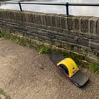 Challenge onewheel vs cyclist