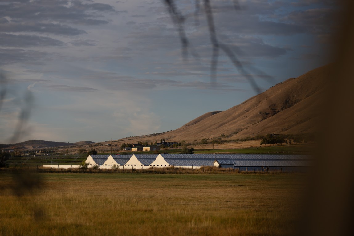 A row of long, white-roofed agricultural buildings sits at the base of a large, barren brown hill under a cloudy sky, viewed across a dry, grassy field.