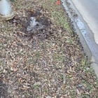 Didn't realize the ground was soaked because it looked normal beforehand.