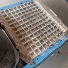 Bad oxidation pint x