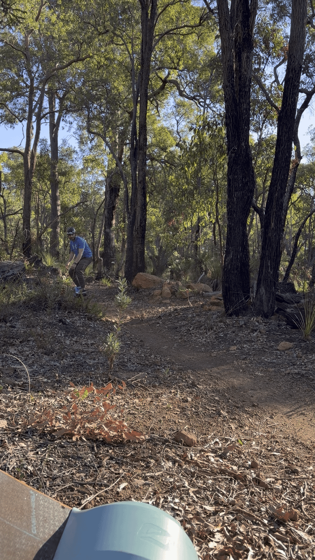 Found a track with some beautiful flowy burms!