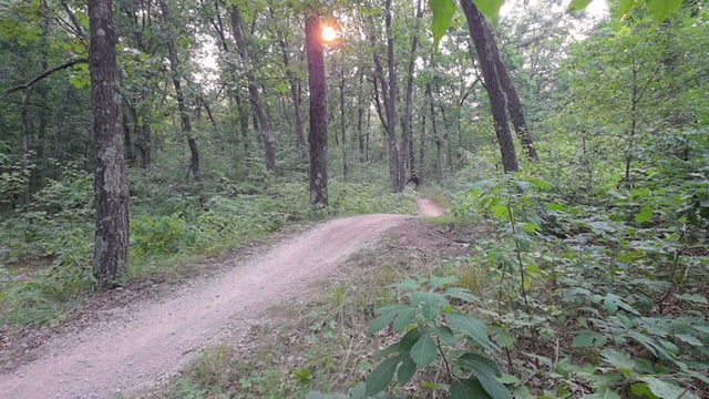 my #1 fav flow trail system I’ve ever ridden was mosquito creek trails in Grand Rapids area