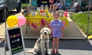 lemonade stand 2 e1788535132951