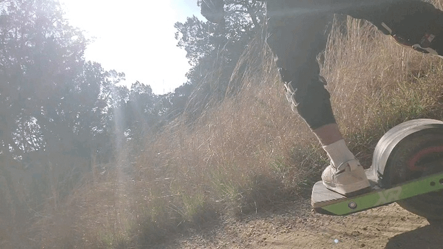 floating through the forest