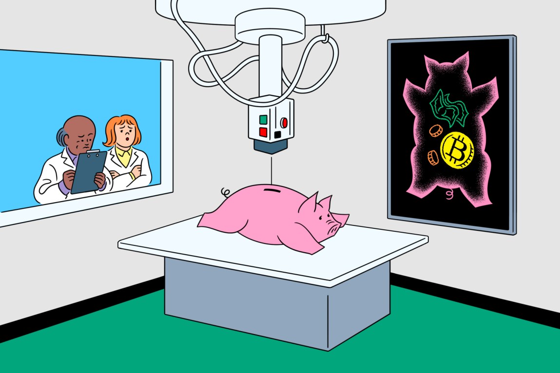 Illustration of a machine X-raying a piggy bank lying on a table. The scan shows dollar bills, coins and a Bitcoin symbol. Doctors stand outside the room and look in.