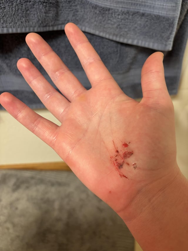 First Fall