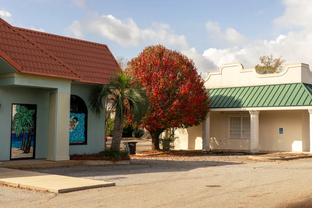 A big tree with red leaves sits in between two pastel buildings. The building on the left has paintings of palm trees and a little boy floating in the water on their windows.