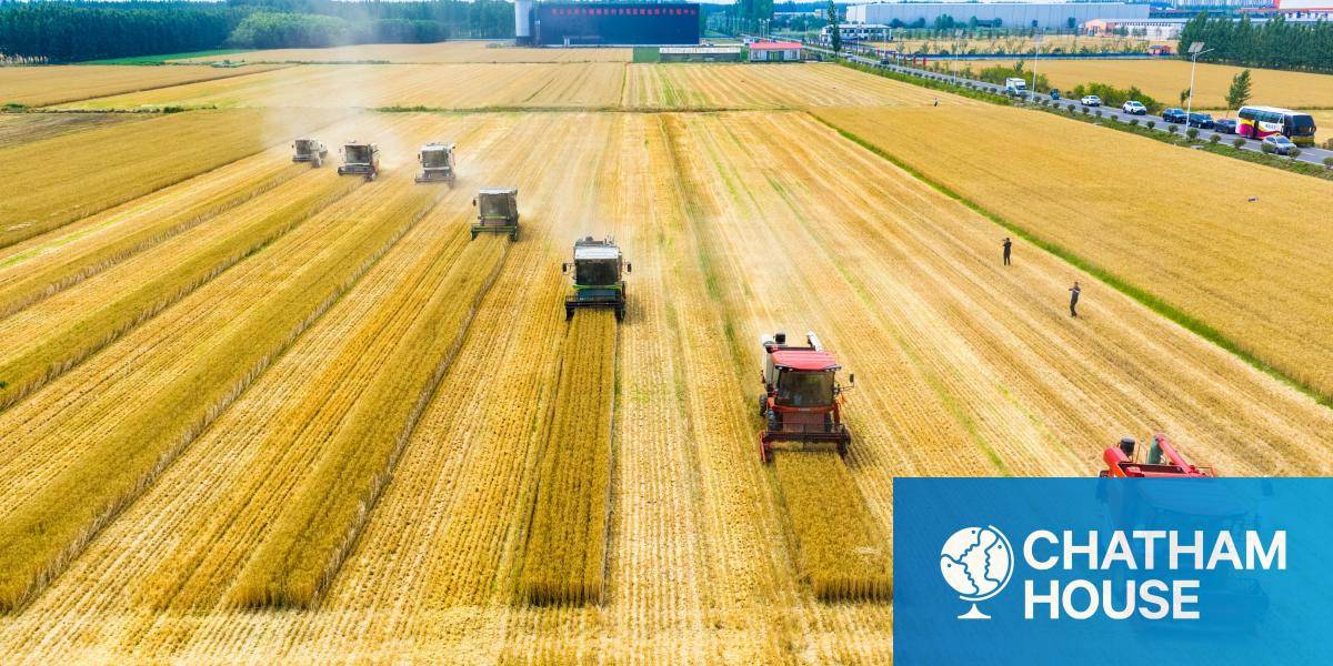 7 combine harvesters move across bright yellow wheat fields in China