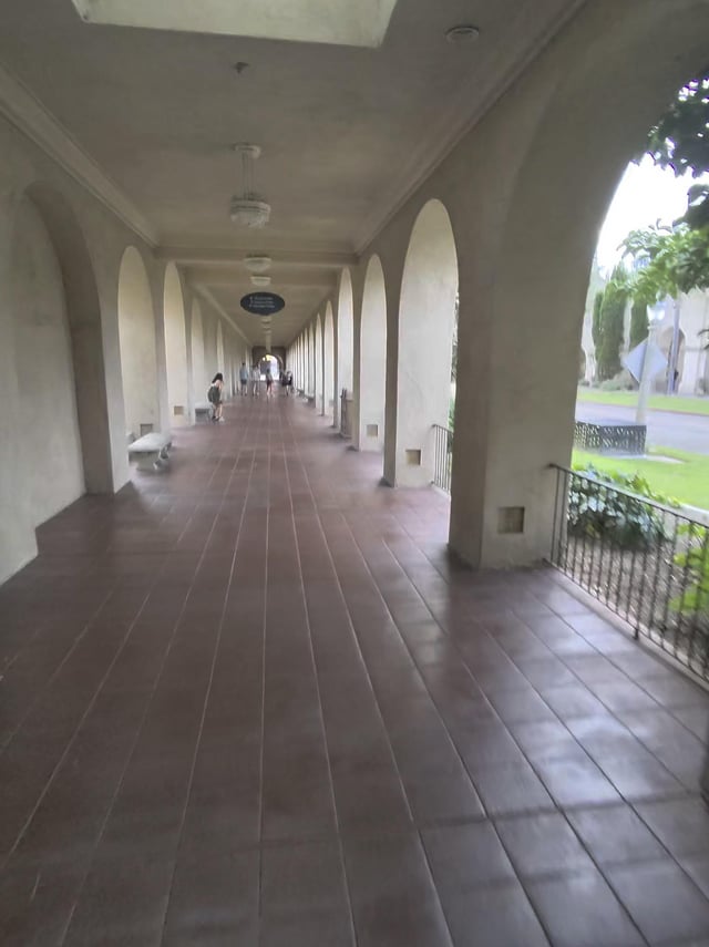 One wheeling balboa park.