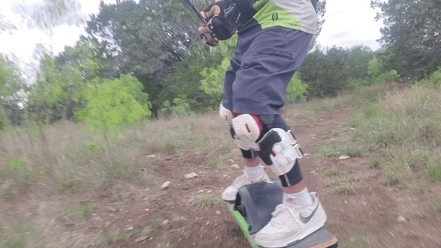 Damn Armadillo holes