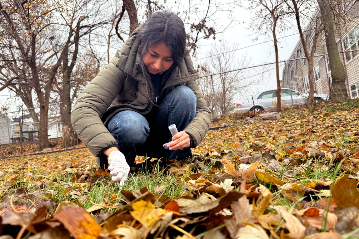 A woman wearing a coat and jeans kneels on ground covered in leaves. She is holding a test tube in one hand and has a white glove on the other while touching the earth.