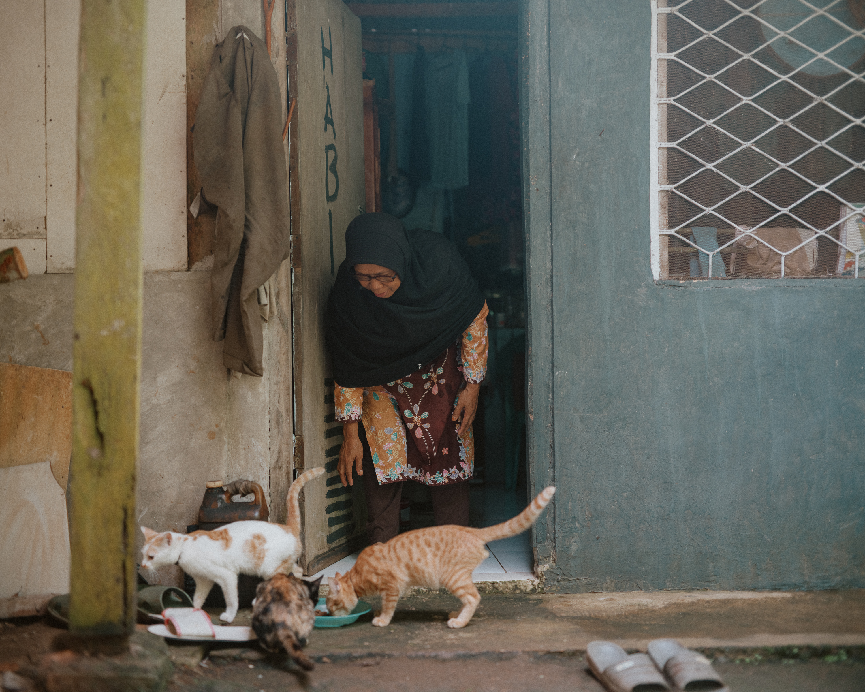 Cicih leans out of a doorway toward an orange-and-white cat, an orange tabby and a calico eating from a dish placed outside. Clothing hangs behind her and sandals rest on the ground in front of her.