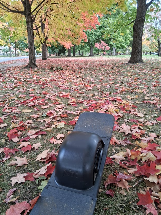Fall time cruisin'