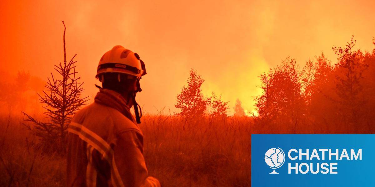 A firefighter in action as a fire rages in the Hautes Fagnes nature reserve in Belgium 
