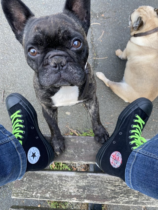 Footwear