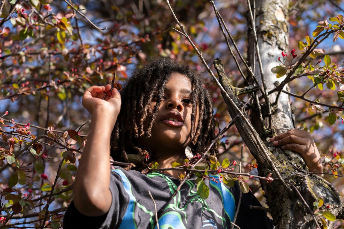 A young child with dreadlocks holds onto a tree trunk with one hand and holds a small branch in the other. The tree has light green leaves and pink blooms.