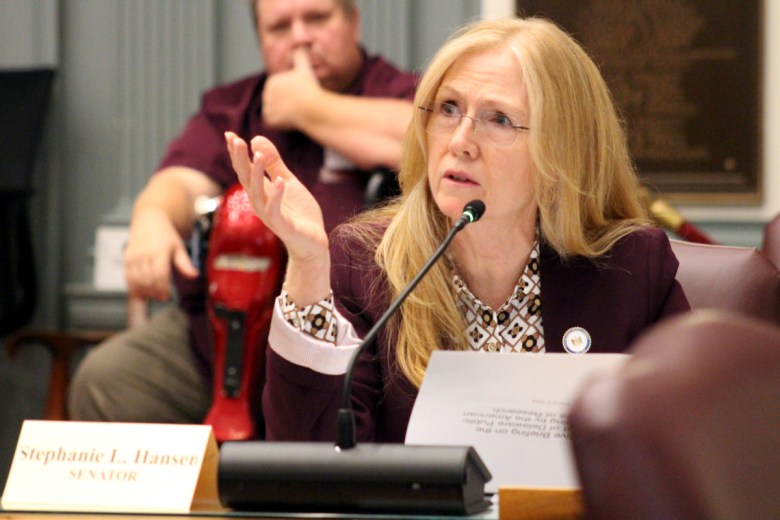 State Sen. Stephanie Hansen testifies during a Senate Education Committee meeting in March 2024.