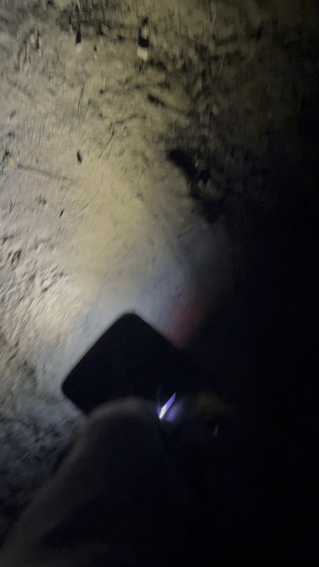 Dropped me, made this sound for awhile and goes back to normal at the end of the video… hall sensor?