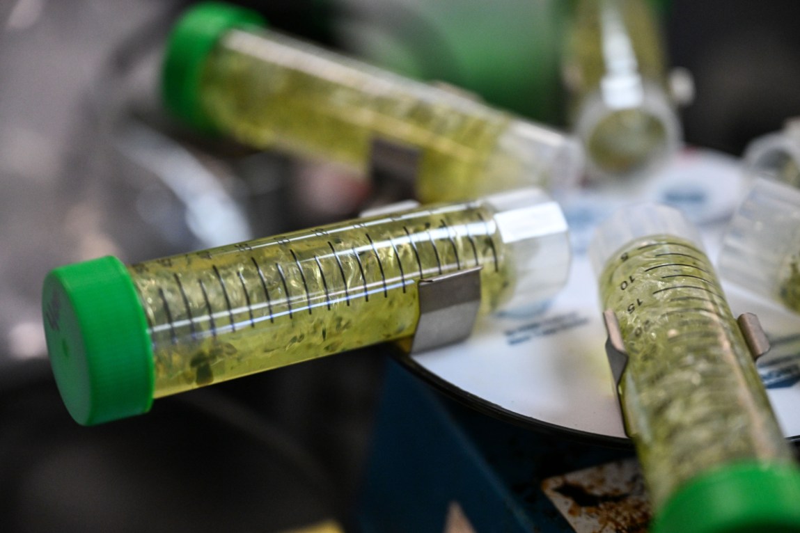 Capped test tubes of green liquid are clipped horizontally around a circle.