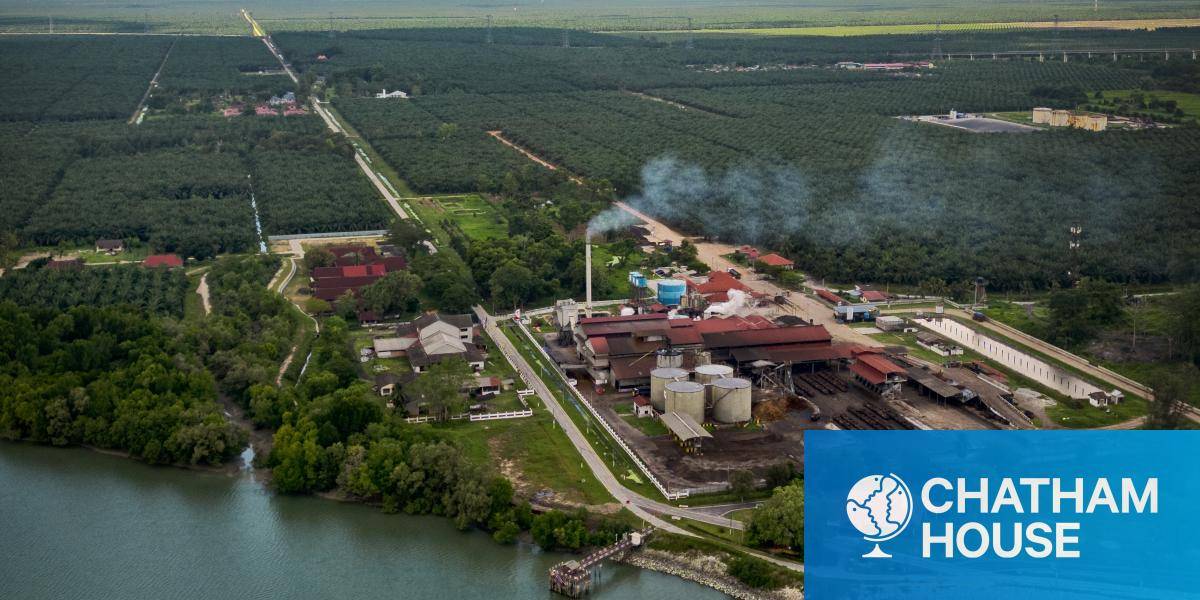 palm oil refinery from above