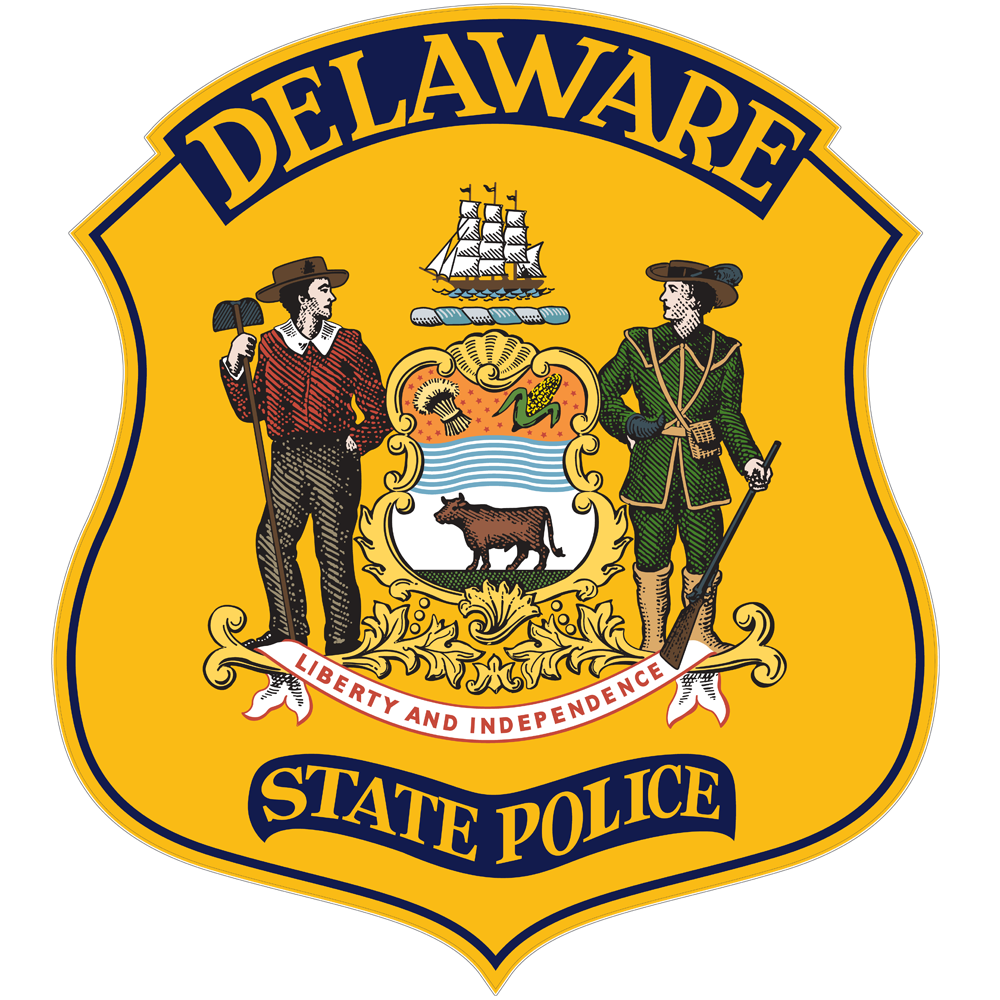 dsp badge 1 1