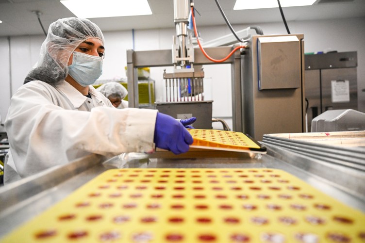 A person wearing a hairnet, a mask, a white lab coat and purple gloves holds a tray of red circular gummies above a metal table.