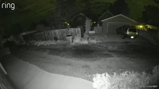 Video: Smash and Grab on My Car - Onewheel stolen right outside alley facing garage