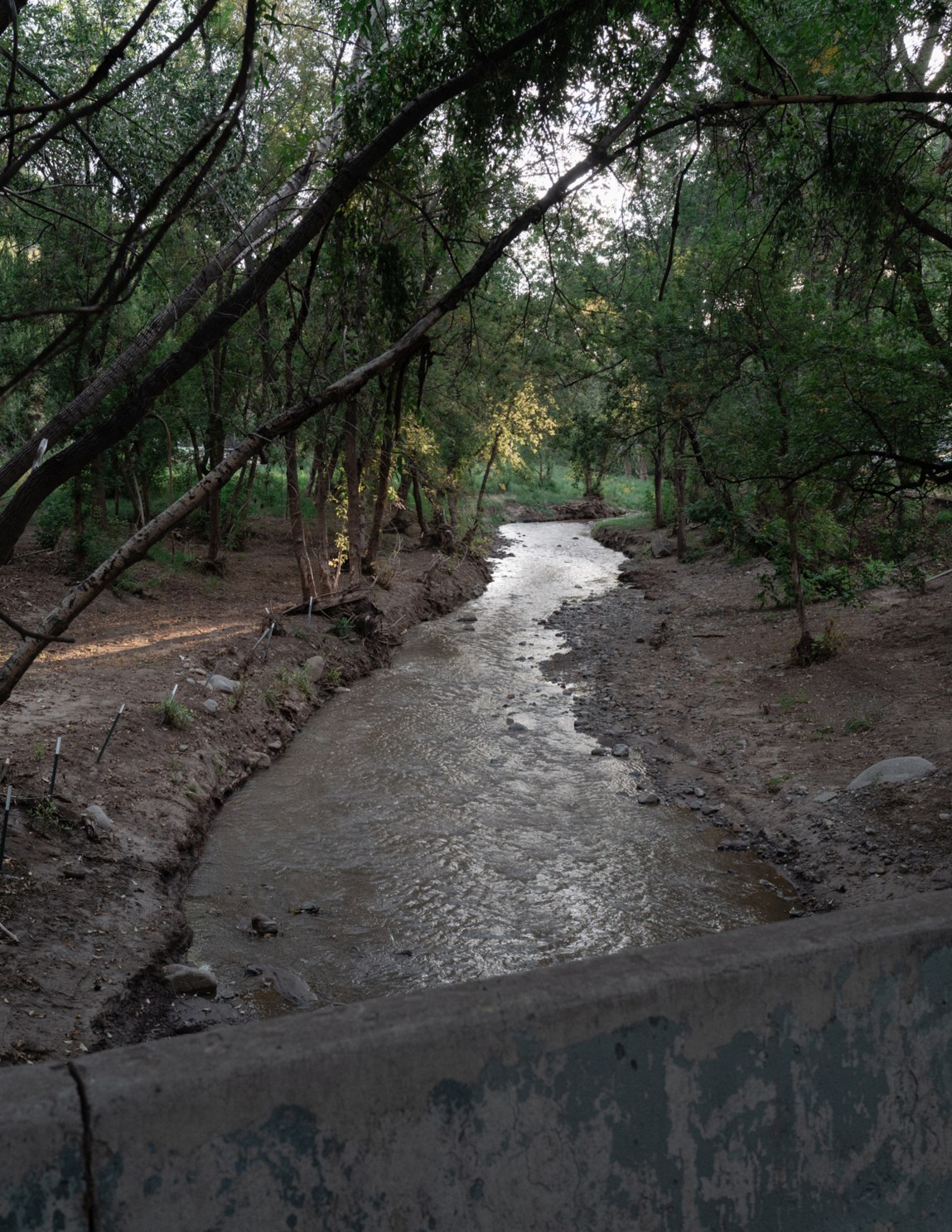 A shallow river, viewed from over a concrete barrier, flows through a dirt channel lined by trees and bare earth.