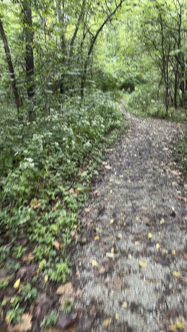 First day of fall. Prime riding weather imo just watch out for those leaves!