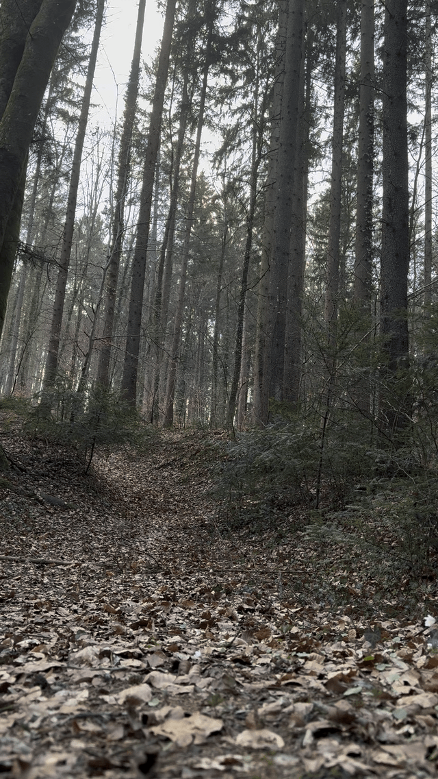 A little ride i went on recently