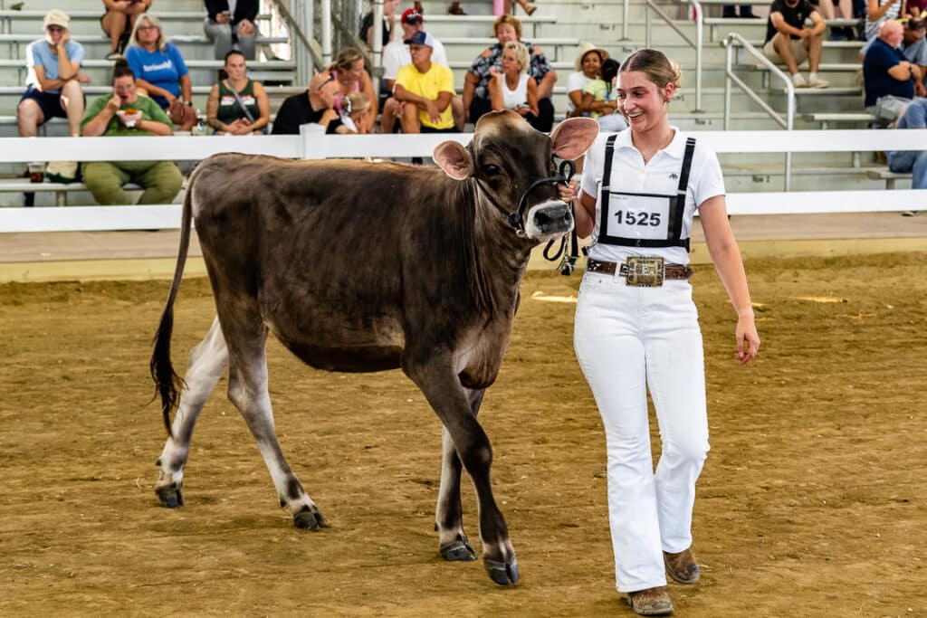 Gigi Razzano and her cow in the Open Dairy Cattle Show.