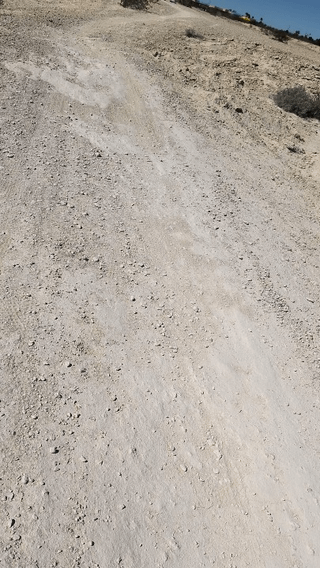 Obstacle course trail ride!