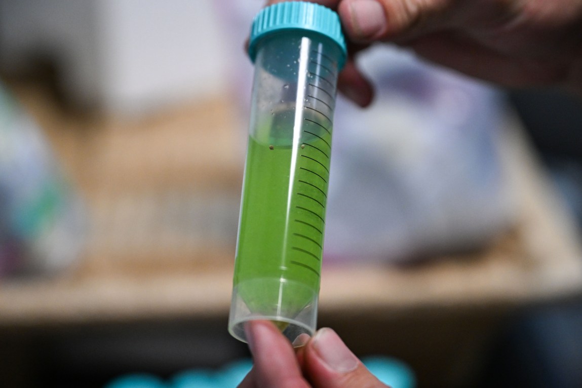 Hands hold a closed vial full of green liquid.