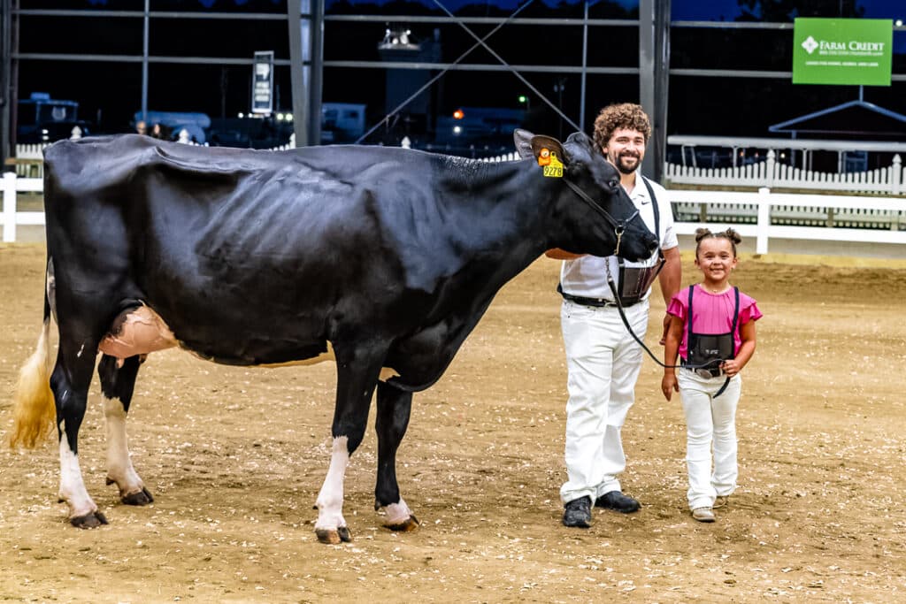 Madelyn Youse and her cow in the Open Dairy Cattle Show.
