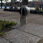 Atom in the wild