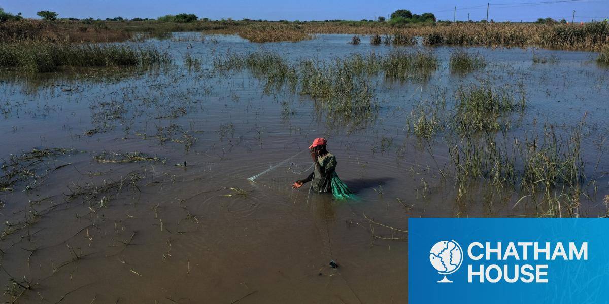 A man fishes in floodwater in the middle of crops and a sugarcane field in Mozambique