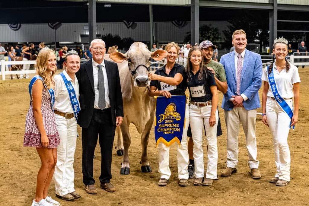 Stephanie Knutsen with her Supreme Championship Female cow in the Open Dairy Cattle Show.