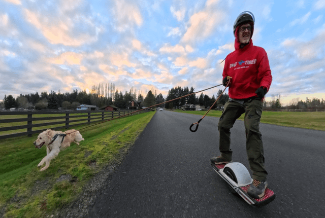 This guy uses his Onewheel to walk (run) dogs as a full-time business.