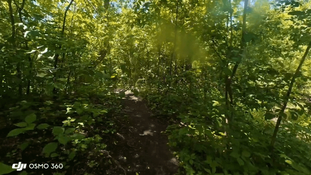 Exploring